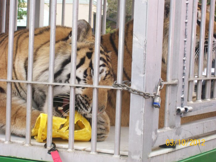 2012-Mar-10HGR4X4_4Wheelparts 011